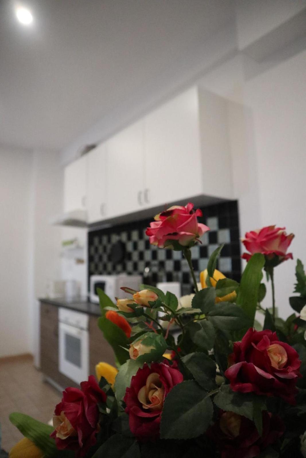 Ale Apartment Rom Eksteriør billede